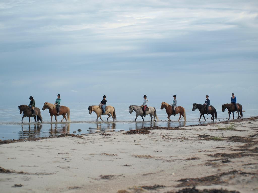 Faedrelandet Ferielejlighed & Turridning Læsø Kültér fotó